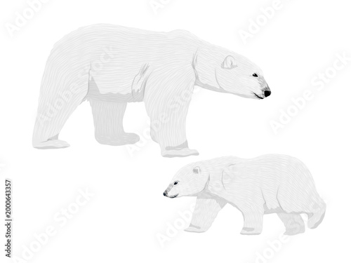 Polar bear with small cub walking together. Vector illustration of arctic wild animals isolated on white background. Concept of motherhood, nature conservation and global warming