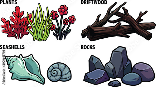Coastal Elements Vector Set with Plants, Driftwood, Seashells and Rocks for Marine Design, Beach Themes, Aquarium Decor and Nautical Illustrations