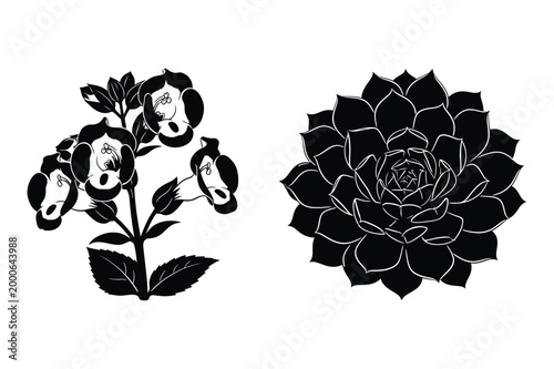 Black silhouette vector illustrations of foxglove and hens and chicks plant