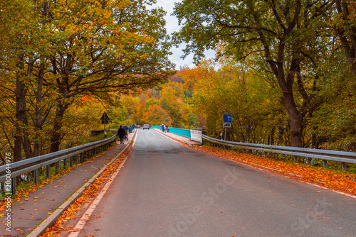Versetalsperre im Herbst (Rundweg)