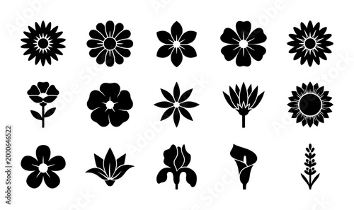 Minimalist black flower icons set, 15 floral silhouette vector elements, simple botanical blossom symbols for logo design and web UI