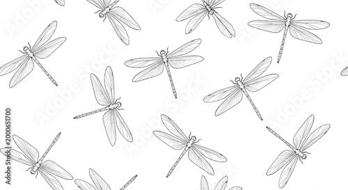 A whimsical pattern of delicately sketched dragonflies scattered across a clean white background.