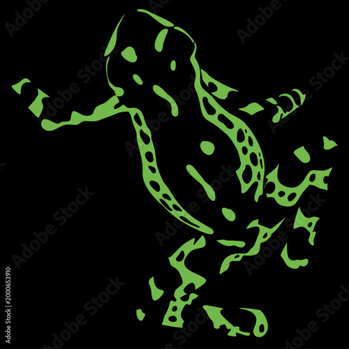 a green motif poisonous forest frog with a black background.reptile animal beautiful skin texture on black background