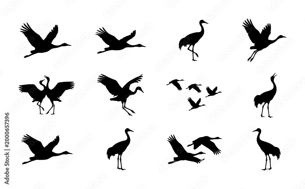 Fototapeta premium Birds in flight and standing silhouettes set on white background