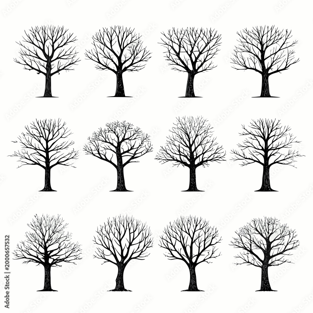 Obraz premium bare tree silhouettes on white background high quality