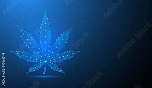 Digital Cannabis Leaf Network Low Poly Technology Marijuana Concept Vector Illustration