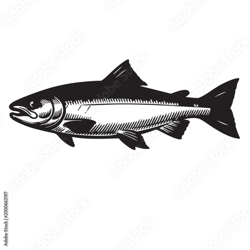 Underwater Marine Animal Silhouette Vector Set – Ocean Creatures Mandala, Sea Life SVG, Turtle Dolphin Fish Shark, Black Tribal Clipar