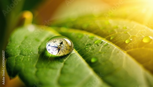 Compass in Water Droplet on Green Leaf