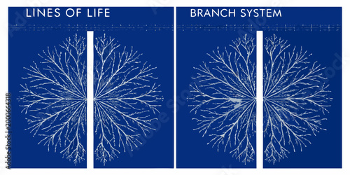 structured illustrations of plant branch systems on blue background high quality professional detailed modern elegant