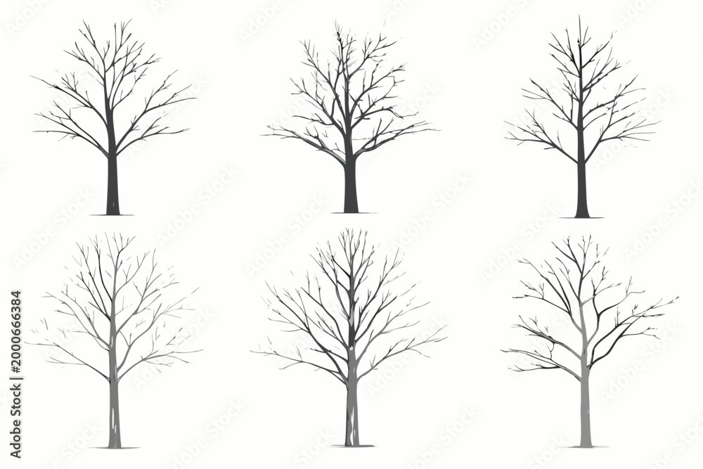 Obraz premium bare tree sketches in six variations on white background
