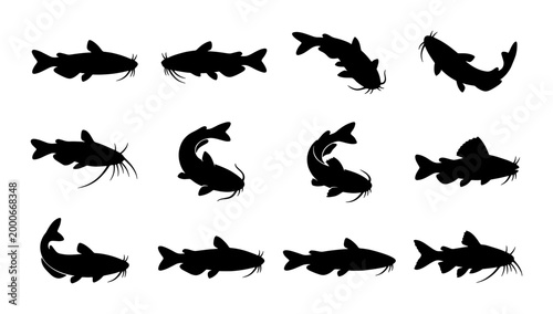Photos Catfish silhouette collection, 12 black fish vector icons, freshwater river fish