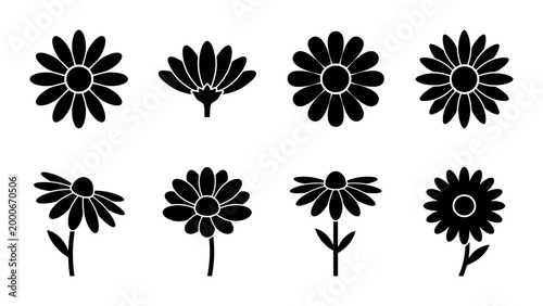 Bild auf Leinwand Minimalist daisy flower icons set, black floral silhouette vector elements, coll