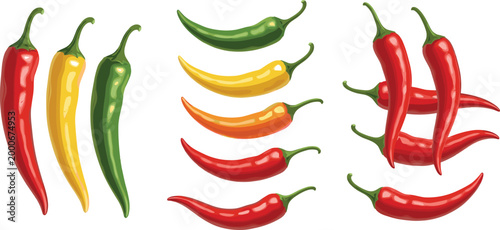 Colorful chili pepper vector set with red green and yellow hot peppers, fresh spicy vegetable collection in realistic hand drawn style