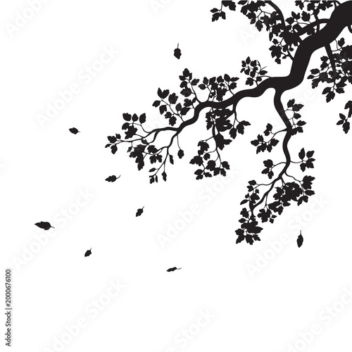 Fotografie Black silhouette of a tree branch with falling autumn leaves in the wind