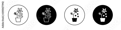 Berry shrubs and vines icons vector graphics collection on white background