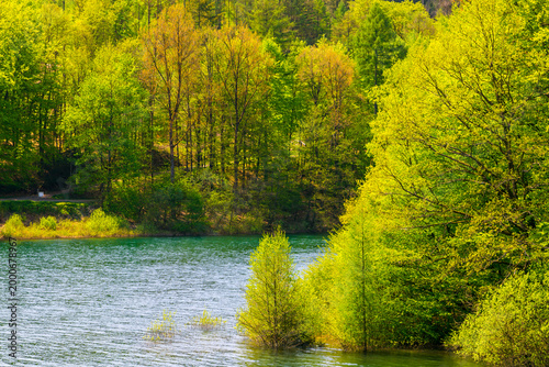 Versetalsperre im Frühling (Rundweg)