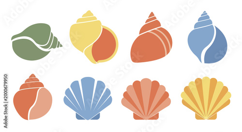 Collection of Colorful Seashells in Various Shapes and Sizes.