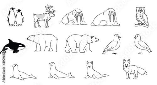 Educational set of black and white outline illustrations featuring arctic animals like polar bears, seals, and penguins.