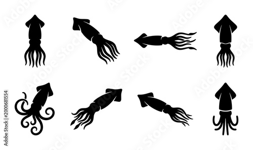 Bild auf Leinwand Squid silhouette vector set, black calamari icons in various swimming poses, 8 m