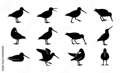 Foto Black sandpiper bird silhouettes set, collection of 12 shorebird vector icons, w