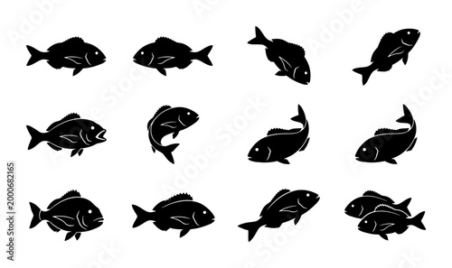 Bild auf Leinwand Black fish silhouette collection, 12 sea bream and snapper icons, aquatic animal
