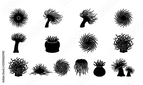 Konstfotografi Black sea anemone silhouette icons set, 14 underwater coral reef organism vector