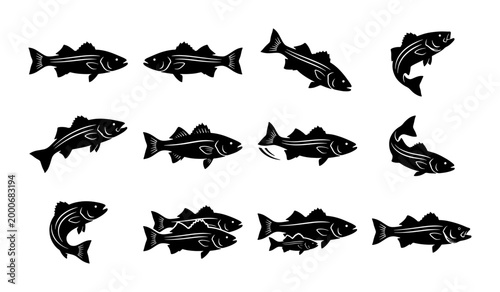 фотографія Striped bass fishing icons set, black silhouette fish vector collection, sea bas