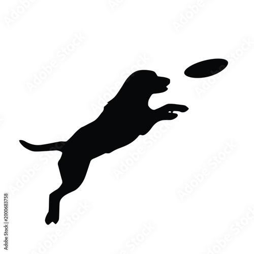 Silhouette of a dog leaping to catch a frisbee in mid-air, captured in a dynamic action shot