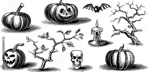 Vintage engraved halloween pumpkin and spooky element clipart sheet for holiday background and design assets