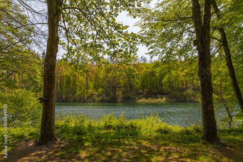 Versetalsperre im Frühling (Rundweg)