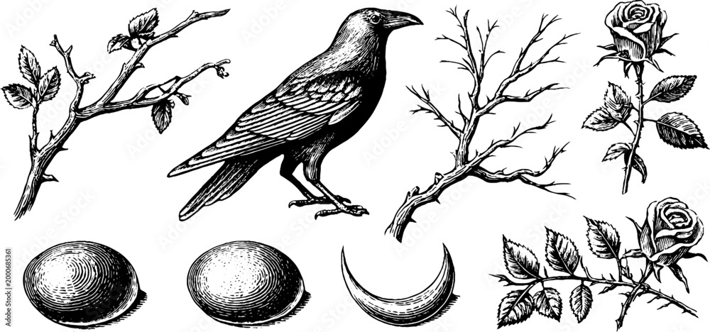 Fototapeta premium Vintage engraved raven branch eggs crescent moon and rose clipart sheet with botanical elements for labels and decorative backgrounds