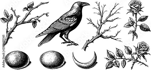 Vintage engraved raven branch eggs crescent moon and rose clipart sheet with botanical elements for labels and decorative backgrounds