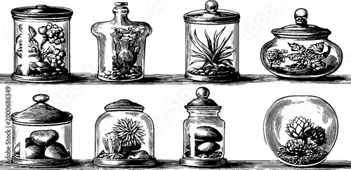 Vintage engraved terrarium jar and air plant clipart sheet with lidded glass jars and succulents for botanical design and craft use