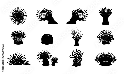 Billede på lærred Black sea anemone silhouette icons set, marine life coral reef organism vector c