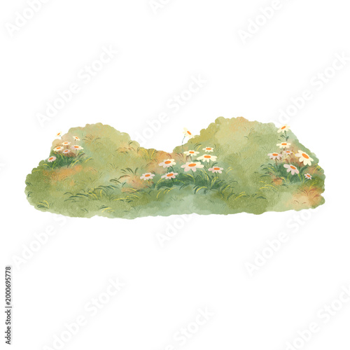 Watercolor Meadow with White Daisy Flowers and Green Grass