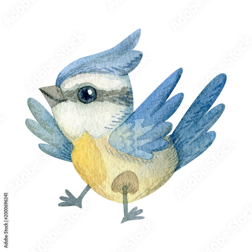 Cute Watercolor Blue Bird Illustration Isolated on White Background