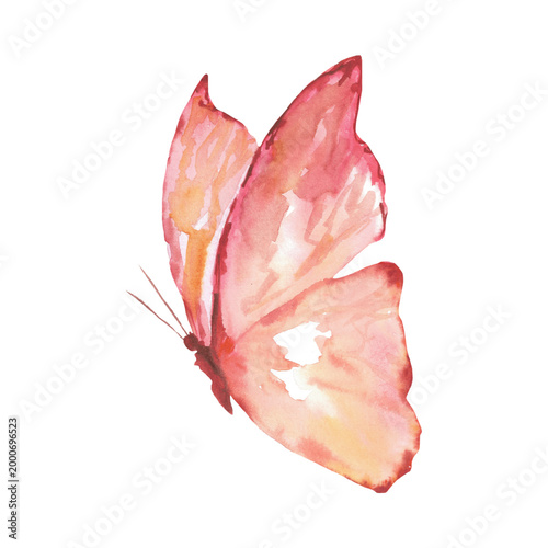 Elegant Pink and Orange Watercolor Butterfly Illustration