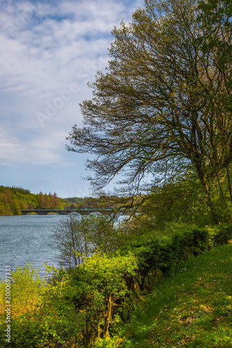 Versetalsperre im Frühling (Rundweg)