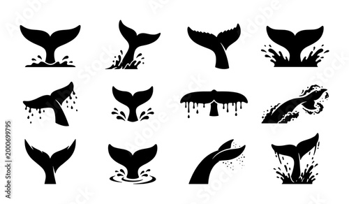 Obraz na płótnie Whale tail silhouette icons set, black fluke vector illustrations with water spl