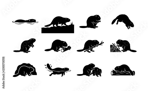 Fotografie Beaver silhouette icon set, 12 wild animal vector elements, black beaver silhoue