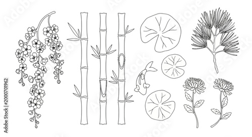 Vector line art illustration of botanical plants, bamboo, and citrus fruits in a garden setting.