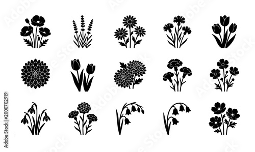 Foto Minimalist black floral silhouette icons, set of 15 botanical flower vector elem