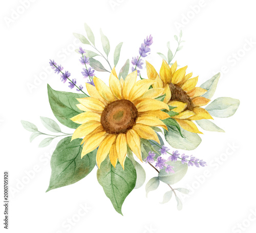 Watercolor bouquet with sunflower, lavender flowers and eucalyptus leaves. Gr...
