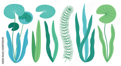Foto A digital illustration of various green aquatic plants