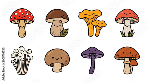 Forest Mushrooms Doodle Illustration Set with Edible Fungi Collection