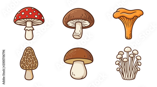 Forest Mushrooms Doodle Illustration Set with Edible Fungi Collection