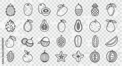 Collection of Hand Drawn Tropical Exotic Fruits Icons Set Vector Illustration Dragon Fruit Kiwi Mango Pineapple Papaya