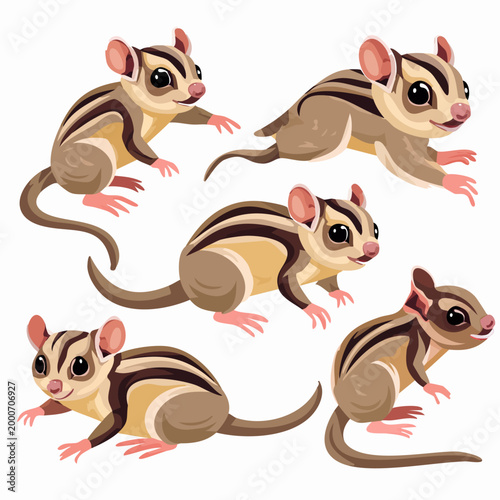 Group of cute sugar gliders playing.