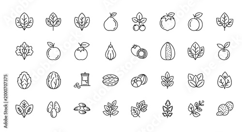 Collection of fresh organic food and plant icons, healthy lifestyle, and vegetarian products with outline style on white background