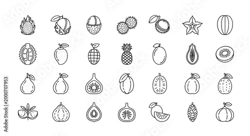 Collection of exotic tropical fruits icons set vector illustration healthy food concept line art design symbols